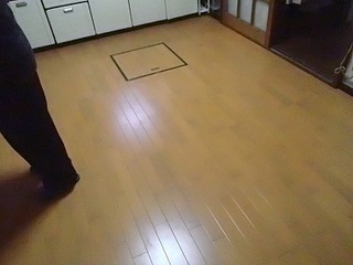 P2283973.jpg