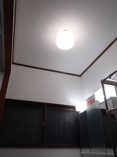 P3142271.jpg