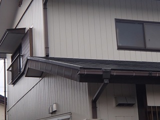 P9183233.jpg