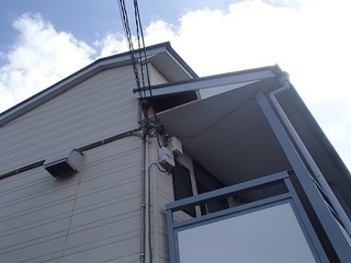 PA103395.jpg