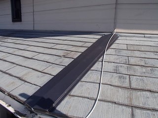 PB073664.jpg