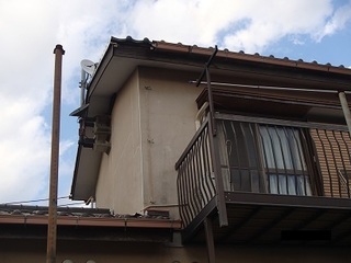 PB143736.jpg