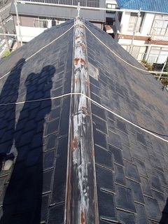 PC204074.jpg